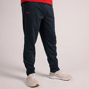 Joggers Męskie Altra Everyday Niebieskie | Polska-72830